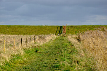 Wooden fence designates pathway across a nature reserve in Lincolnshire Fens towards steps over the sea wall into gathering clouds