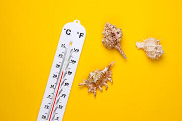 Summer time. Weather thermometer with seashells on yelow background. Climate control. Top view