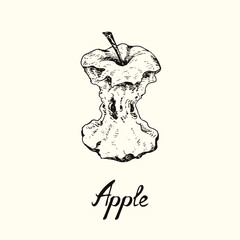 Apple eaten core, outline simple doodle drawing with inscription, gravure style