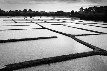 Graphic landscape of salt marshes in Guerande peninsula, France. Black and white photography