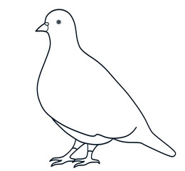 鳩 アイコン