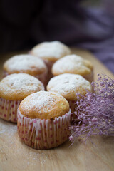 Sweet homemade baked muffins with cottage cheese in forms with sugar powder on plate