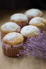 Sweet homemade baked muffins with cottage cheese in forms with sugar powder on plate