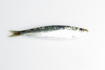 Sardine is a healthy fish