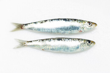 Sardine is a healthy fish