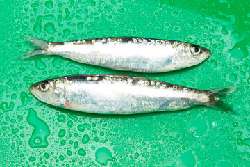 Sardine is a healthy fish