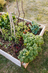 Raised vegetable bed