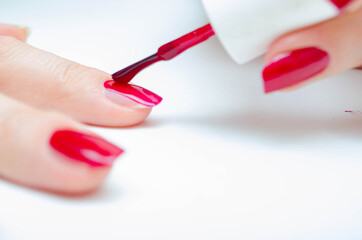 Manicure at home. DIY manicure. The girl paints herself nails in red, burgundy. Glossy nail polish. Macro in macro. Brush is applying varnish on the nail in a strong large zoom on a white background