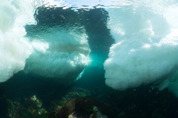 Drift Ice © divedog