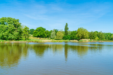 Fototapeta na wymiar A pond in Hampstead Heath park in north-west London. UK