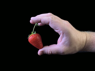Red, ripe strawberries on a black background. Early berries in a man's hand. Sweet berry in the palm of your hand.