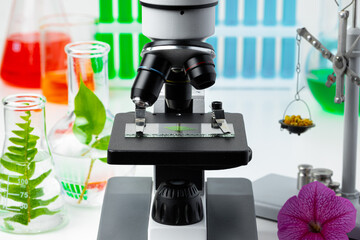 Medical laboratory. Scientific microscope with test tubes and plants