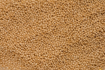 Fototapeta premium Amaranth