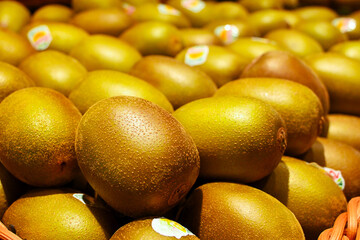 Fresh kiwi fruit