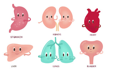 Set of funny human organs in cartoon style. Characters for anatomy design