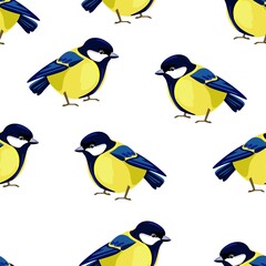 Titmouse Bird pattern seamless Vector Illustration. Print design with drawn birds for textiles.