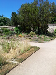 Fototapeta premium Oxford Botanic Garden