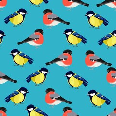 Titmouse Bird and Bullfinch Print design with drawn birds for textiles.
