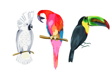Parrots isolated set on white background. Wild bird collection with parrot, macaw, toucan.  Vector illustration