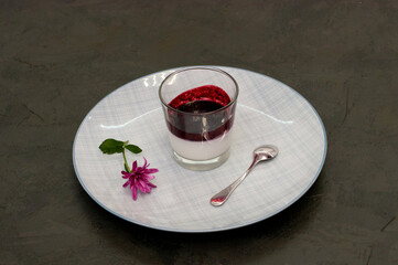 Italian festive dessert Panacota with berry filling
