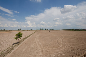Obraz premium Thai farmer are reparation of rice field in the rainy season. The concept is that agricultural equipment is expensive. But cheap agricultural products.
