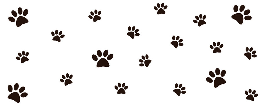 Track of cat dog tracks, footprint, design. Footprints of cat or dog .
