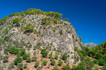 High vegetation covered mountain on island of Mallorca in Spain