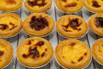 Group of Hongkong custard tart,egg tart