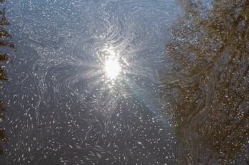 sunlight in pond water
