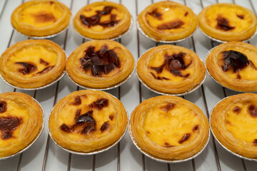 Group of Hongkong custard tart,egg tart