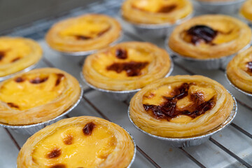 Group of Hongkong custard tart,egg tart