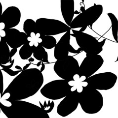 vector background with black and white florals. Creative cute silhouette flower and leaves on white background , freehand lovely blossom and leaves for your design.