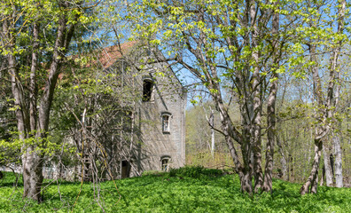 Obraz premium ruins of manor in estonia