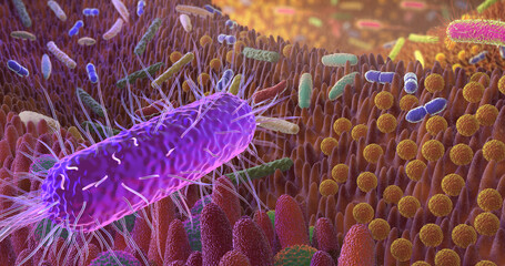 Darmflora_III_4K_Tiefensch&auml;rfe