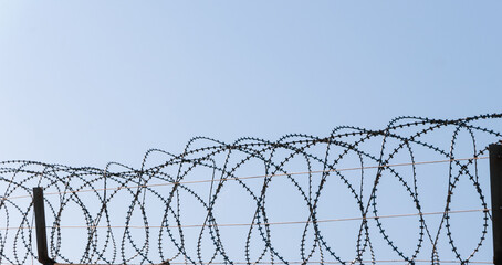Wire and barbed wire fence