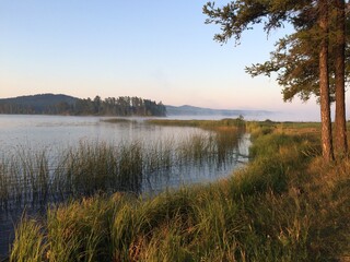 Fototapeta na wymiar Fog at the lake shore at dawn