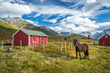 Beautiful late summer in the mountains, Isfjorden and Kavliheian valley.
