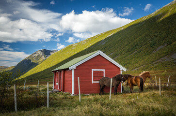 Beautiful late summer in the mountains, Isfjorden and Kavliheian valley.