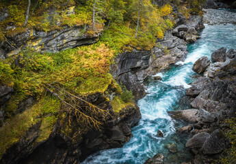 Blue river in norwegian wooldands.