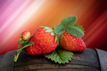 Fragole