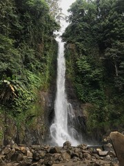 waterfall in the Bali