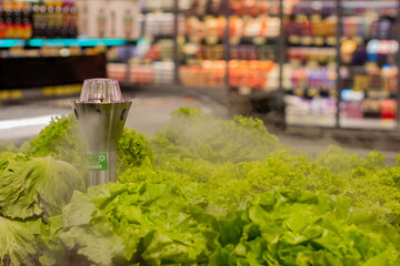 Umidificador de legumes umidificando a alface.
