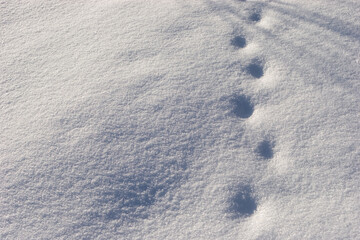 Snow pattern