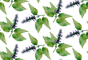 Hand drawn patchouli branch with leaves and flowers isolated on white background. Watercolor seamless pattern on white background. For wrapping, fabric, wallpaper. Herbal medicine and aroma therapy - obrazy, fototapety, plakaty