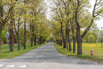 road in the park