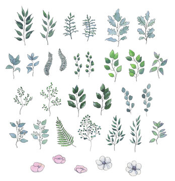 Greenery . Collection of high-quality hand-drawn watercolor illustrations of leaves, flowers. 