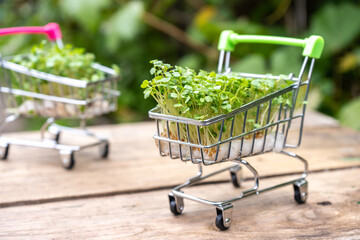 Fresh eco farming greens delivery concept, young microgreens in a shopping cart on a wooden...