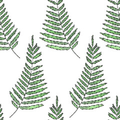 Obraz premium Greenery is a collection of high-quality hand-drawn watercolor patterns with leaves, plants leather fern in sketch and doodle style on white background