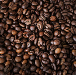 Fototapeta premium Coffee beans background. Background of roasted coffee beans