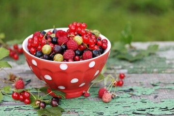 Garden berries - red and black currants, gooseberries, raspberries in a red bowl in polka dots on an old board with peeling paint and against the background of nature. Soft focus. 